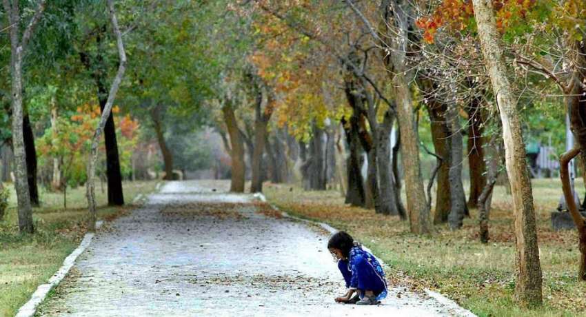 راولپنڈی: ایک بچی خشک پتوں کے ساتھ کھیلنے میں مصروف ہے۔