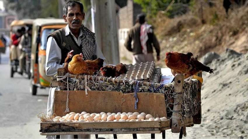 راولپنڈی: ایک محنت کش دیسی مرغیاں اور انڈے فروخت کر رہا ہے۔