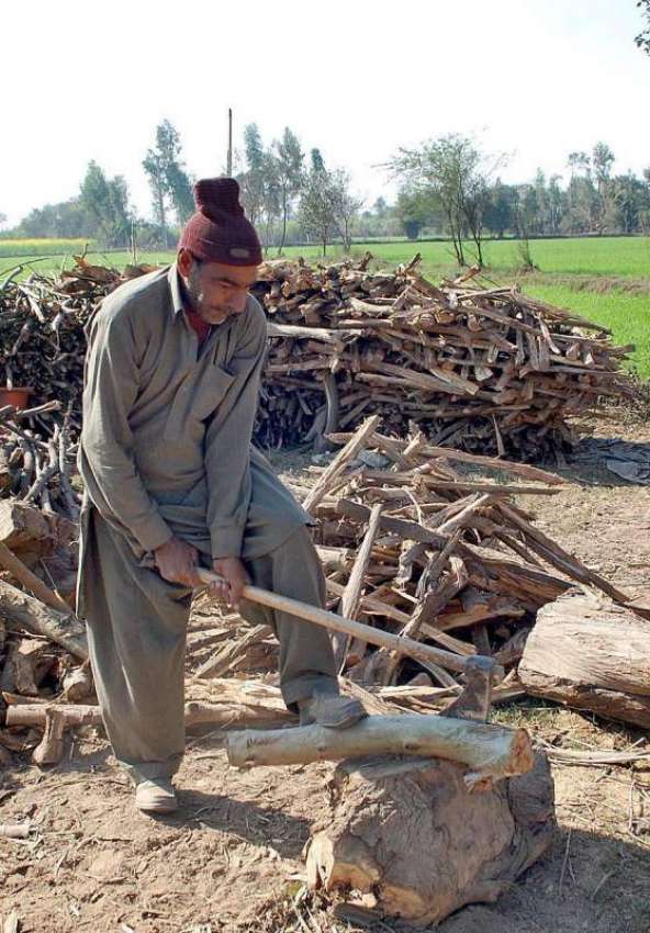 فیصل آباد: ایک محنت کش لکڑیاں کاٹنے میں مصروف ہے۔