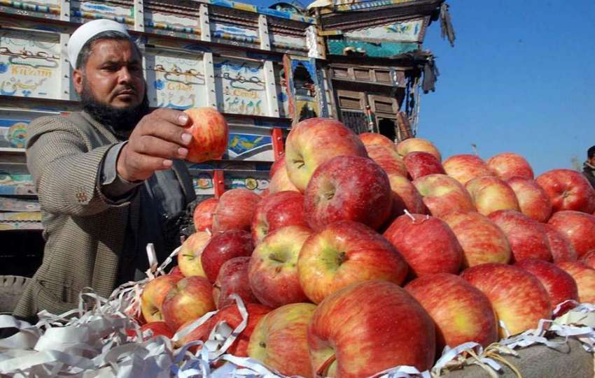 پشاور: ایک ریڑھی بان سیب فروخت کر رہا ہے۔