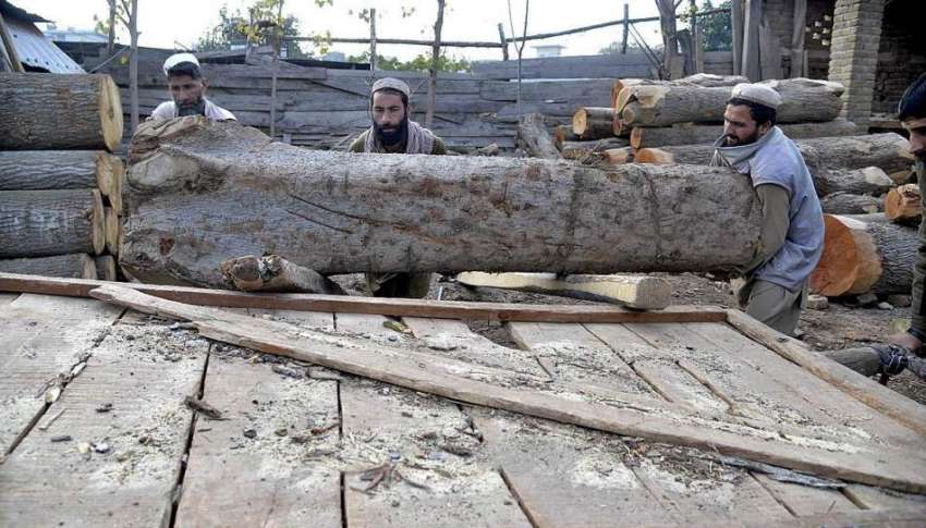 راولپنڈی: مزدور انتہائی وزنی لکڑی گدھا ریڑی پر رکھ رہے ہیں۔