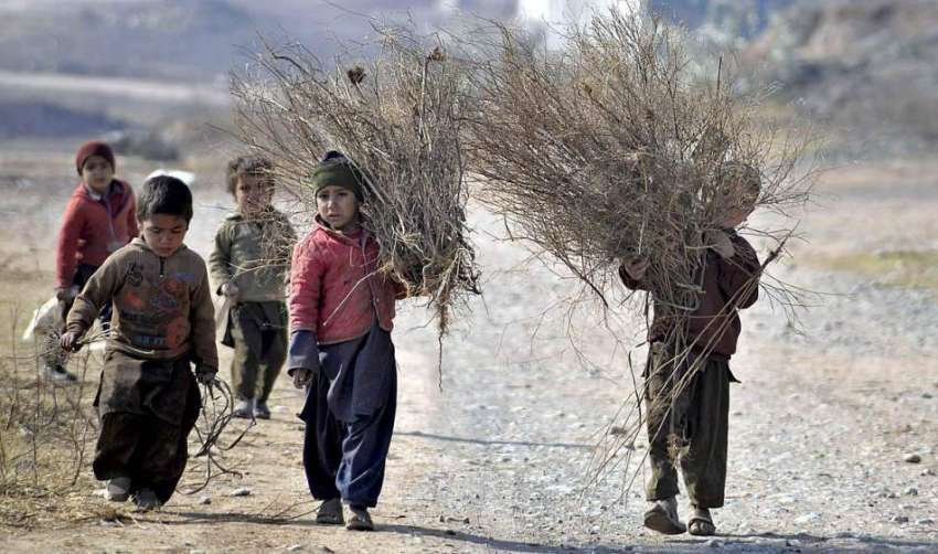 راولپنڈی: خانہ بدوش بے چولہا جلانے کے لیے خشک لکڑیاں جمع ..