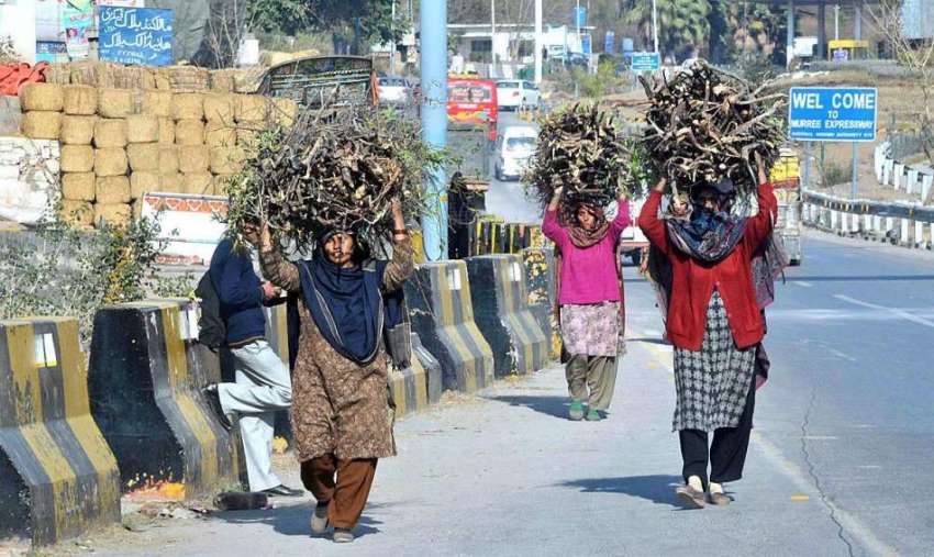 اسلام آباد: خانہ بدوش خواتین گھر کا چولہا جلانے کے لیے خشک ..