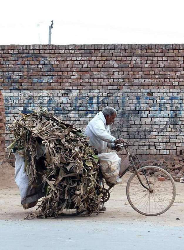 فیصل آباد: ایک معمر شخص گھر کا چولہا جلانے کے لیے خشک ٹہنیاں ..