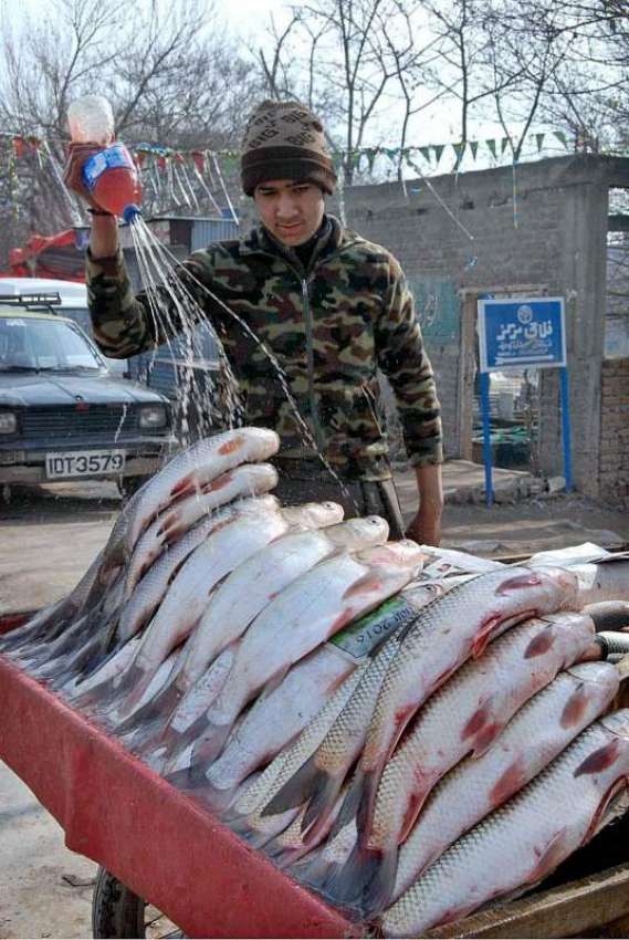اسلام آباد: مچھلی فروش مچھلیوں کو تازہ رکھنے کے لیے پانی ..
