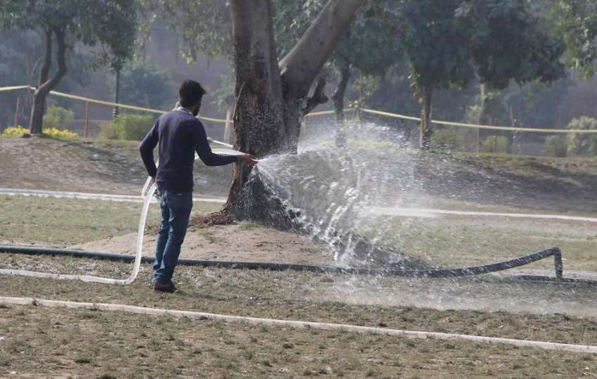 لاہور: گریٹر اقبال پارک میں مالی پودوں کو پانی لگا رہا ہے۔