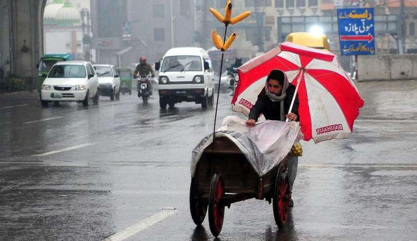 راولپنڈی: ایک ریڑھی بان بارش سے بچنے کے لیے چھتری تانے چھلیاں ..