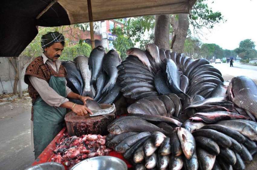 لاہور: ایک مچھلی فروش فروخت کے لیے مچھلی کی صفائی کر رہا ..