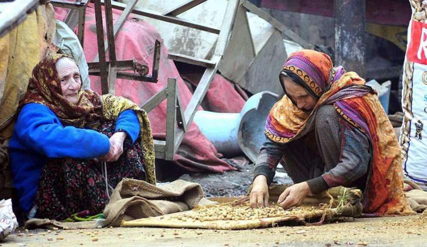 راولپنڈی: ایک معمر محمد کش خاتون مونگ پھلی چن رہی ہے۔