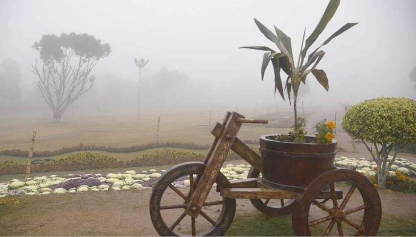 راولپنڈی: صبح کے وقت گہری دھند نے شہر کو اپنی لپیٹ میں لے ..