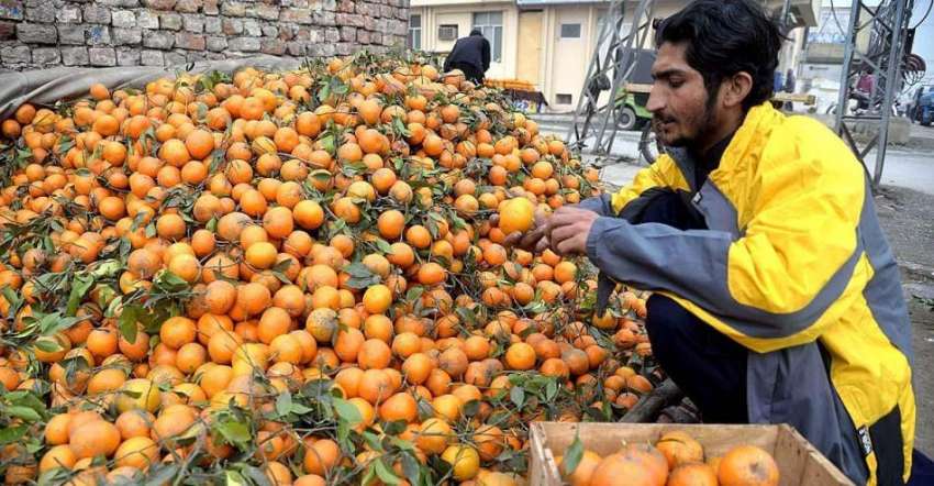 راولپنڈی: ایک دکاندار سڑک کنارے گاہکوں کو متوجہ کرنے کے ..