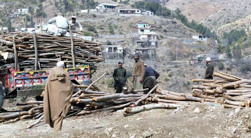 ایبٹ آباد: مزدور ٹریکٹر ٹرالی پر لکڑیاں لوڈ کر رہے ہیں۔