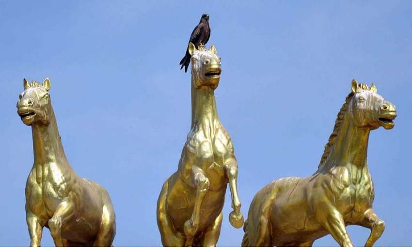 حیدر آباد: گھوڑے کے ماڈل پر ایک پرندہ بیٹھا ہوا ہے۔