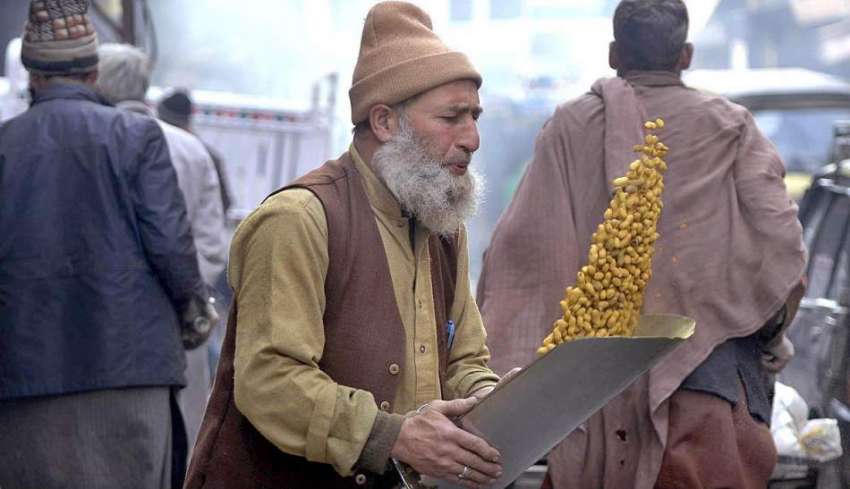 راولپنڈی: ایک معمر محنت کش مونگ پھلی کی صفائی میں مصروف ہے۔