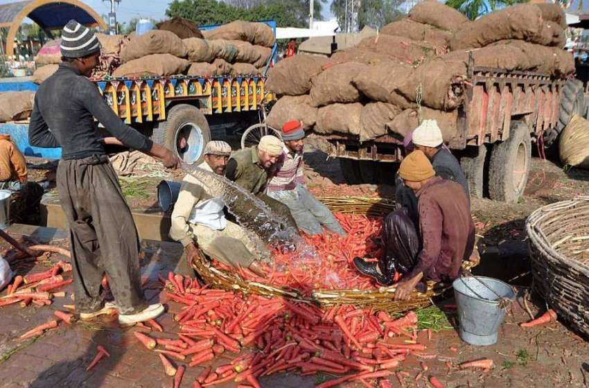 لاہور: کسان کھیتوں سے گاجریں چننے کے بعد دھو رہے ہیں۔