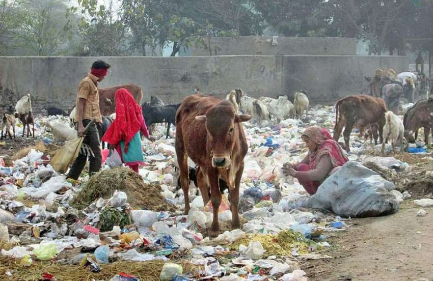 فیصل آباد: خانہ بدوش خاندان کے افراد کچرے کے ڈھیر سے کار ..