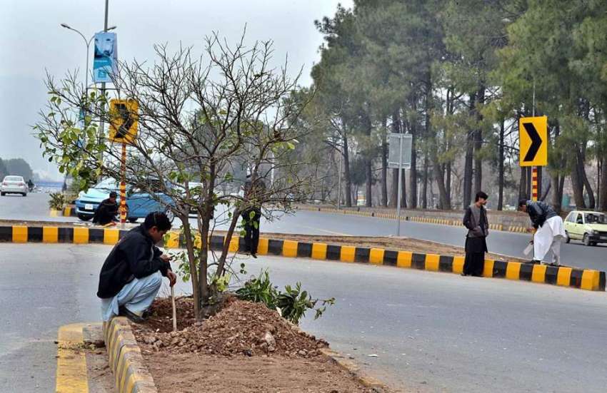 اسلام آباد: ایک مالی سڑک کنارے لگے پودوں کی دیکھ بھال کر ..