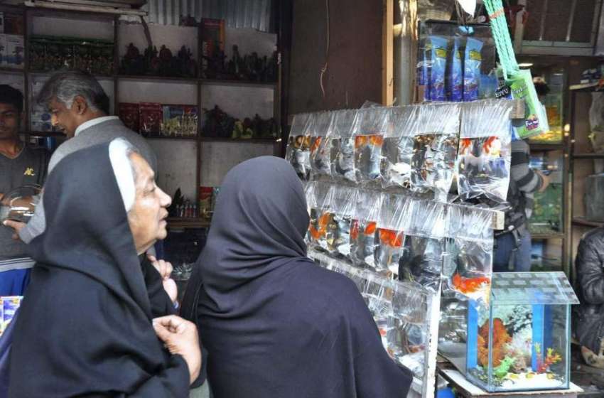 اسلام آباد: خواتین پلاسٹ کے لفافوں میں رکھی گئی مچھلیوں ..