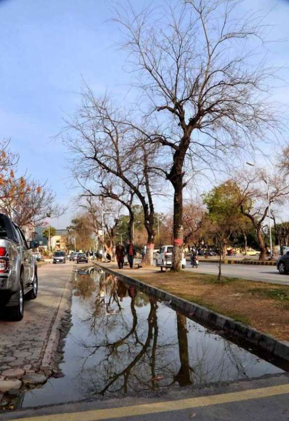 اسلام آباد: موسم کی تبدیلی کے ساتھ درختوں اور پودوں کا خوبصورت ..