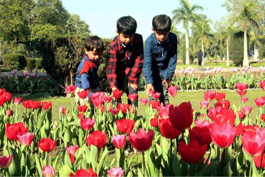 لاہور: بچے باغ جناح میں جاری پھولوں کی نمائش دیکھ رہے ہیں۔