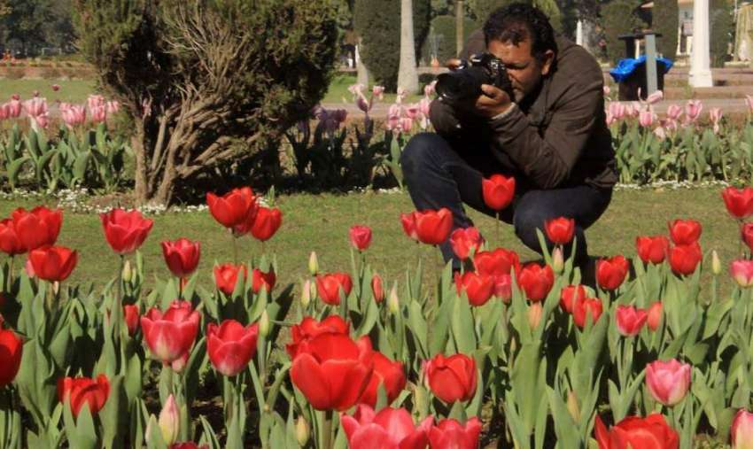 لاہور: باغ جناح میں ایک فوٹو گرافر پھولوں کی خوبصورتی کو ..