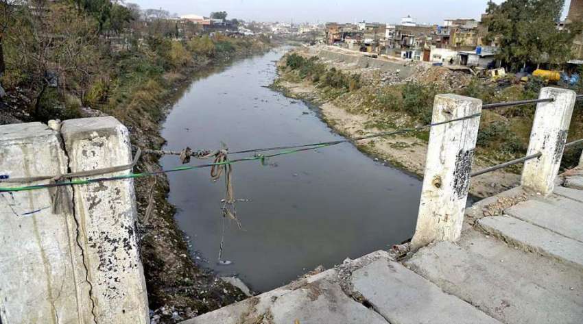 راولپنڈی: نالہ لئی کے پل کے اوپر ٹوٹے ہوئے جنگلی کی وجہ سے ..