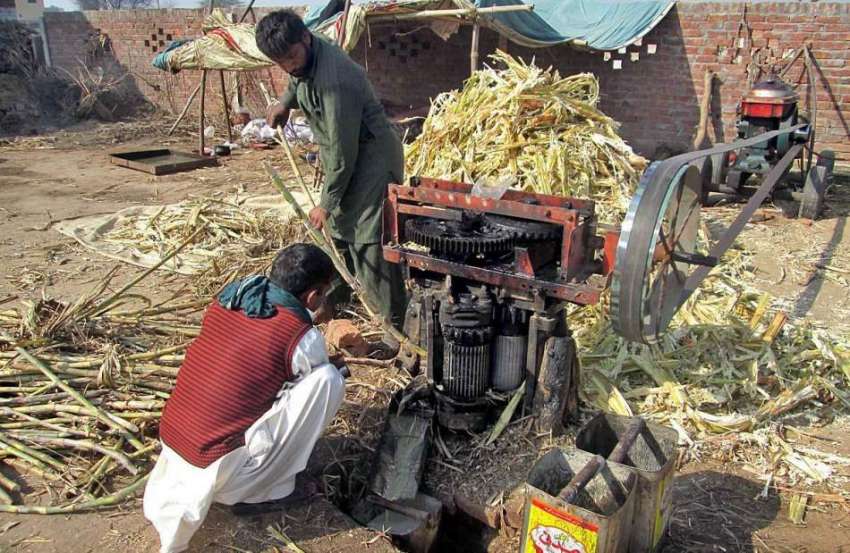 فیصل آباد: کسان گڑ بنانے کی غرض سے گنے کا رس نکال رہا ہے۔
