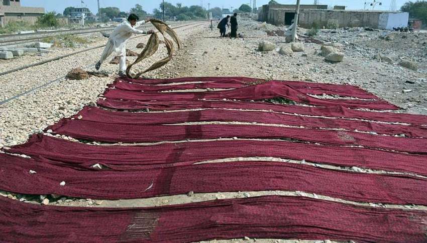 حیدر آباد: ایک مزدور سندھی اجرک خشک کرنے کے لیے دھوپ میں ..
