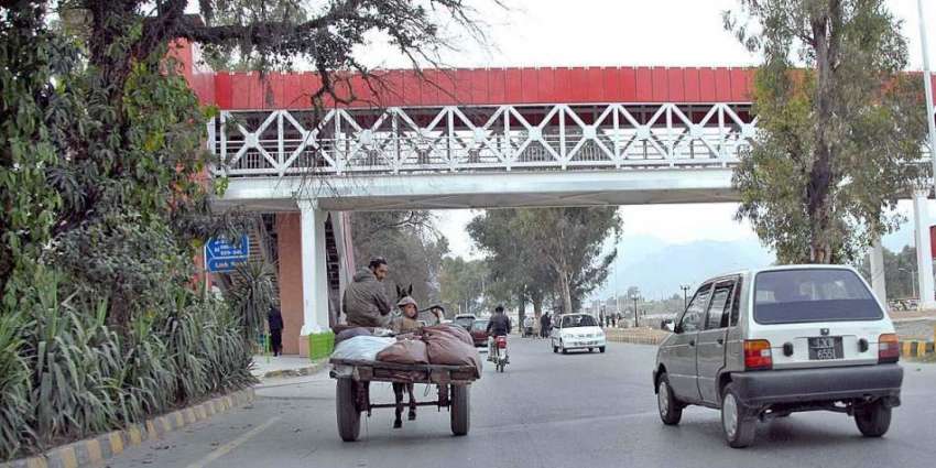 اسلام آباد: وفاقی دارالحکومت میں پابندی کے باوجود گھوڑا ..