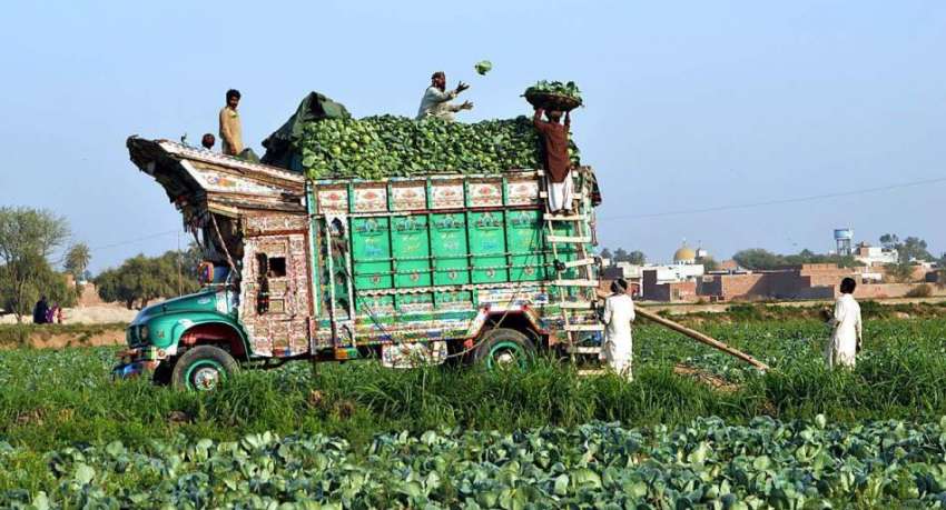 ملتان: مزدور ٹرک پر سبزی رکھ رہے ہیں۔