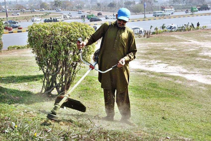 اسلام آباد: وفاقی دارالحکومت میں سی ڈی اے کا اہلکار پودوں ..