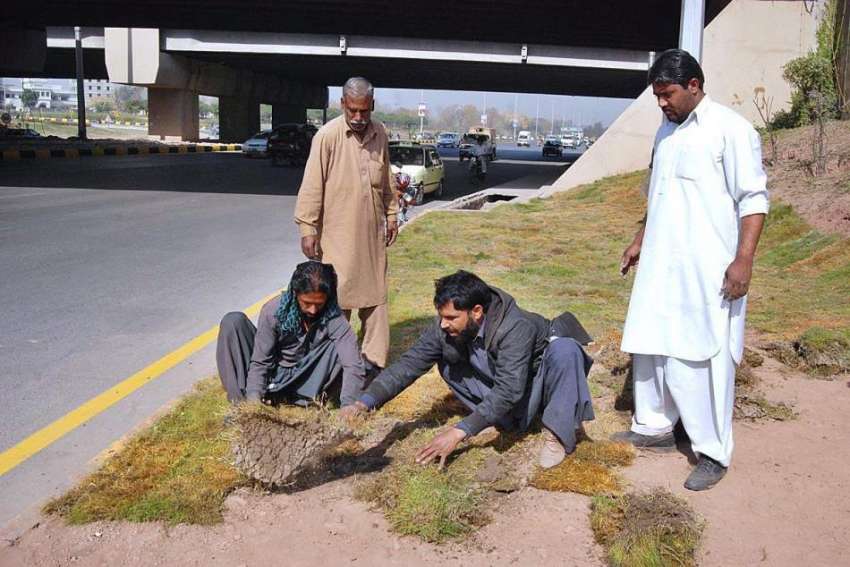 اسلام آباد: وفاقی دارالحکومت میں سی ڈی اے کے اہلکار گرین ..