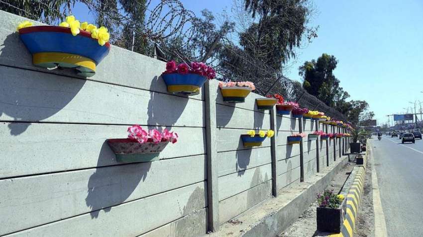 راولپنڈی: سڑک کنارے دیوار کے ساتھ لگائے گئے موسمی پھول دلکش ..