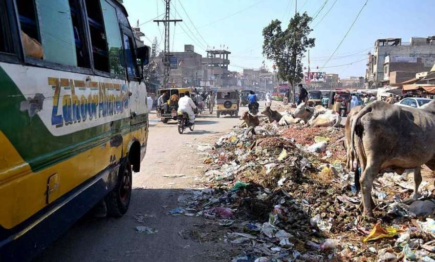 حیدر آباد: سبزی منڈی کے باہر کچرے کا ڈھیر مختلف بیماریوں ..