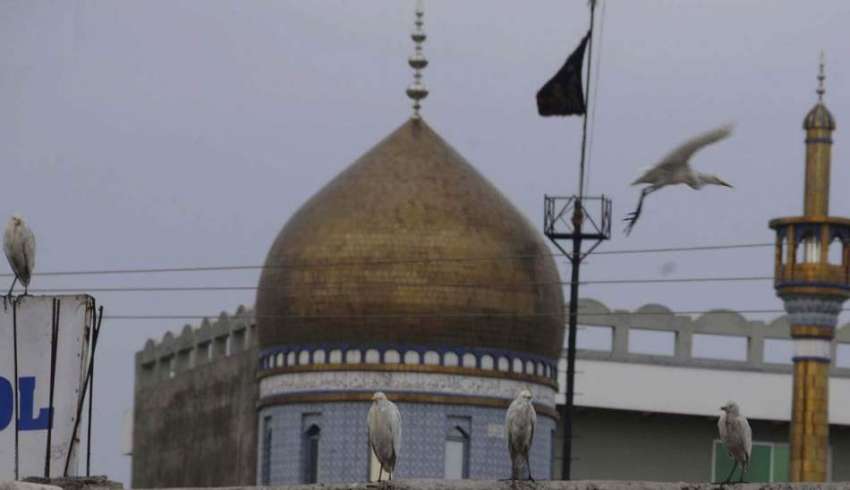 اسلام آباد: پرندے غروب آفتاب کے اوقات میں مسجد کے باہر بیٹھے ..