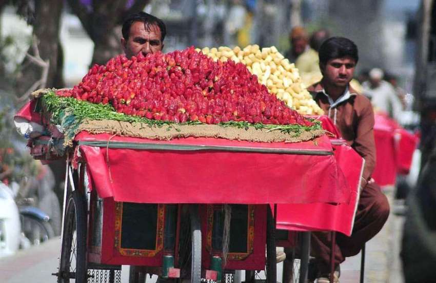 راولپنڈی: ایک ریڑھی بان تازہ اسٹرابری فروخت کر رہا ہے۔