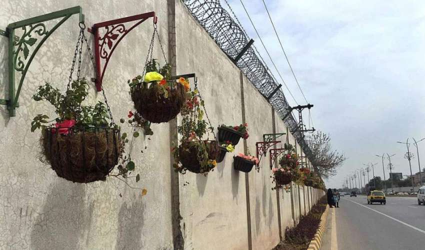راولپنڈی: ائیرپورٹ روڈ پر دیوار کے ساتھ لگائے گئے پودے دلکش ..
