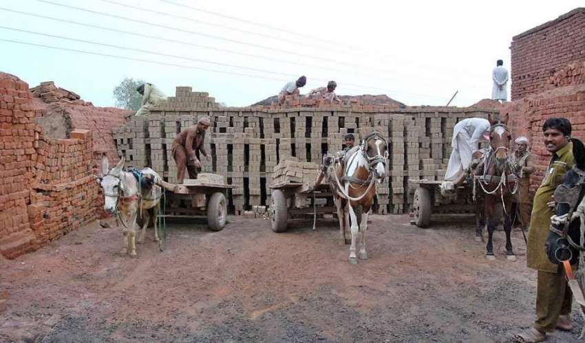 فیصل آباد: مزدور گدھا ریڑھے پر اینٹیں رکھ رہے ہیں۔