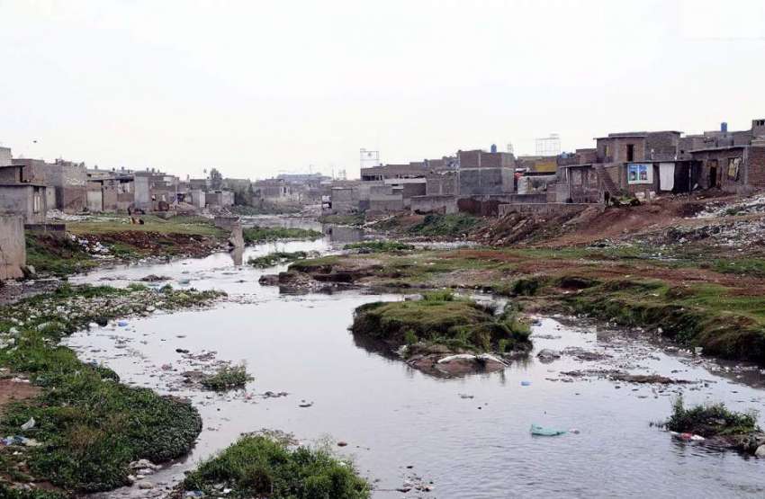 راولپنڈی: پانی کے عالمی دن کے موقع پر لی گئی نالہ لئی کی تصویر ..