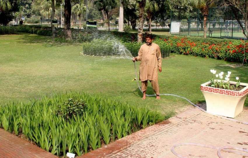 لاہور: باغ جناح میں مالی پودوں کو پانی لگا رہا ہے۔