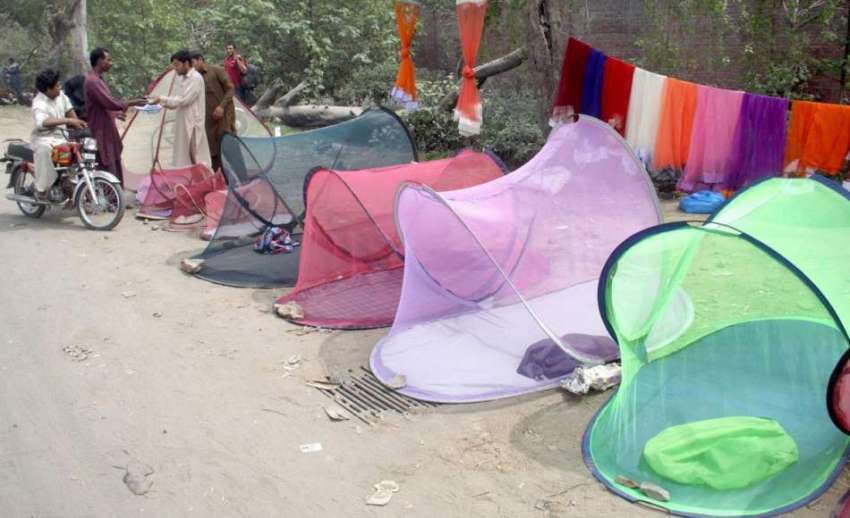 لاہور: ایک محنت کش نے مچھردانیاں فروخت کرنے کے لیے سرک کنارے ..