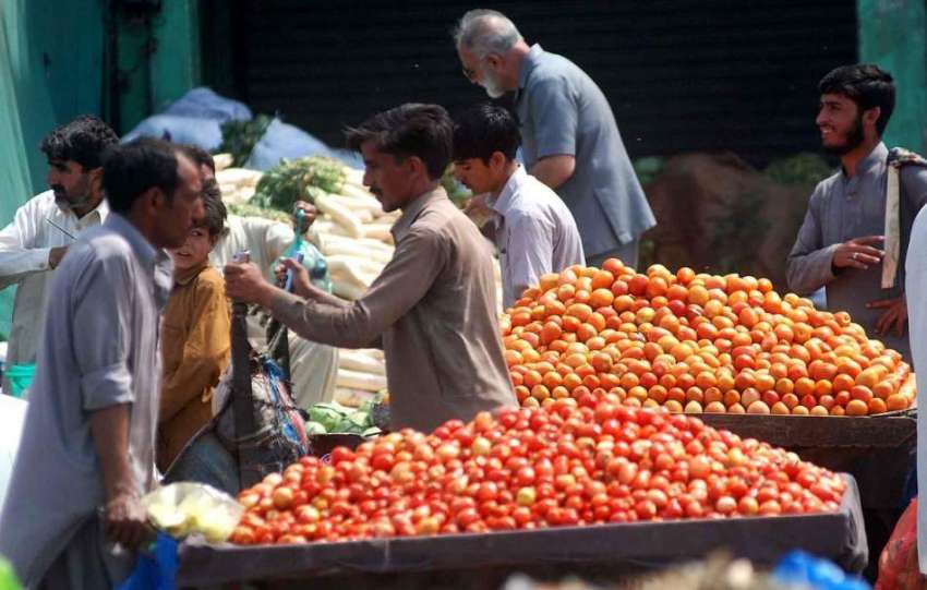 اسلام آباد: ریڑھی بان گاہکوں کو متوجہ کرنے کے لیے ٹماٹر سجائے ..