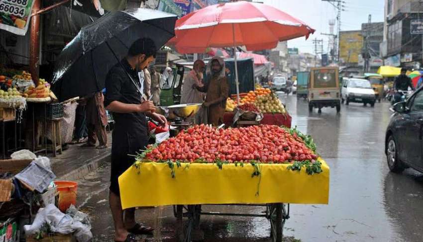 راولپنڈی: ریڑھی بان بارش کے دوران چھتری تانے اسٹرابری فروخت ..
