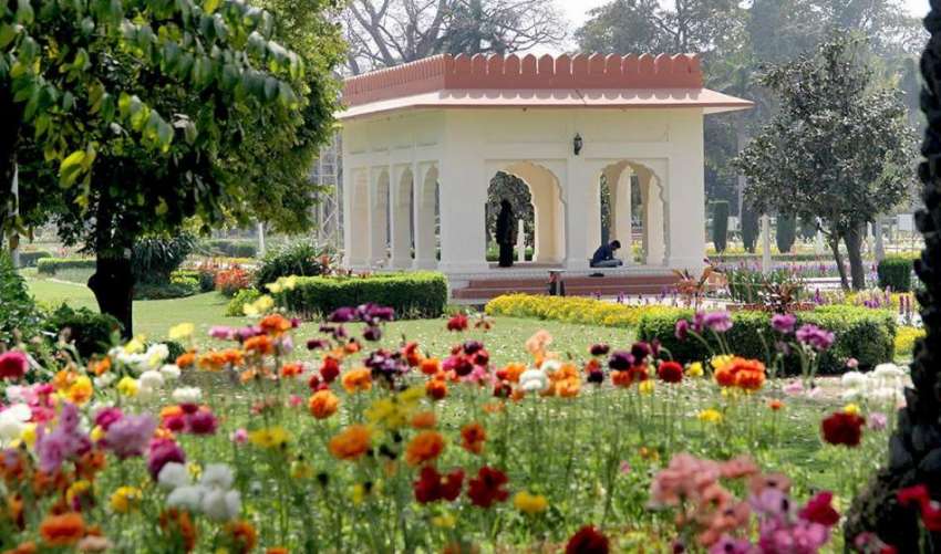 لاہور: باغ جناح میں کھلے رنگ برنگے پھول خوبصورت منظرپیش ..