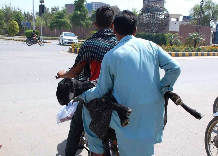 فیصل آباد: موٹر سائیکل سوار خطرناک انداز سے بکرے کو لیے جا ..
