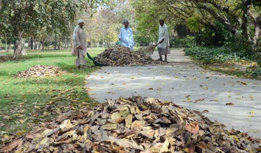 لاہور: مقامی پارک میں مالی خشک پتے اور ٹہنیاں جمع کر رہے ..