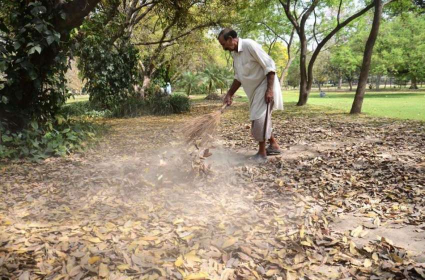 لاہور: مقامی پارک میں مزدور صفائی ستھرائی کے کام میں مصروف ..