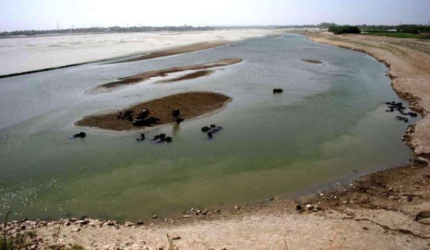 حیدر آباد:پانی کی کمی کے باعث دریائے انڈس کا زیادہ تر حصہ ..