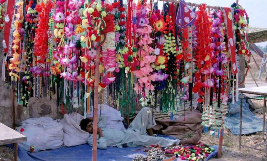 راولپنڈی: عید الاضحی کے موقع پر جانوروں کی سجاوٹ کے لیے محنت ..