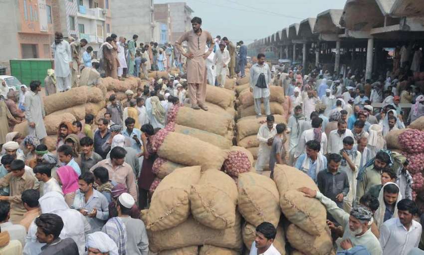 فیصل آباد: سبزی منڈی میں آلو اور پیاز کی بولی ہو رہی ہے خریدار ..